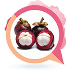 山竹常識篇